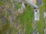 image of grave number 760967